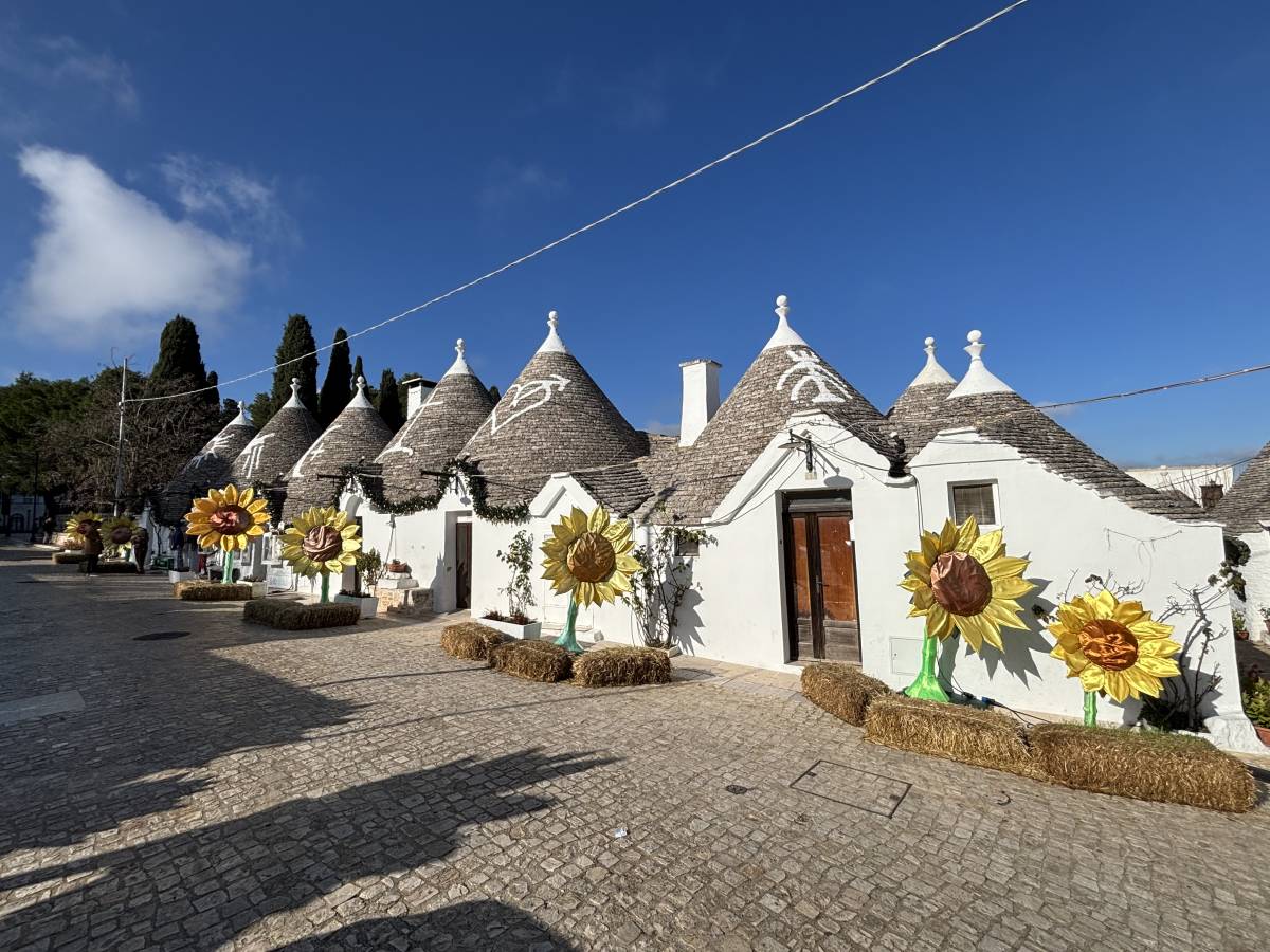 Zdjęcie 3 wykonane przez Rafal G. (21.12.2025)