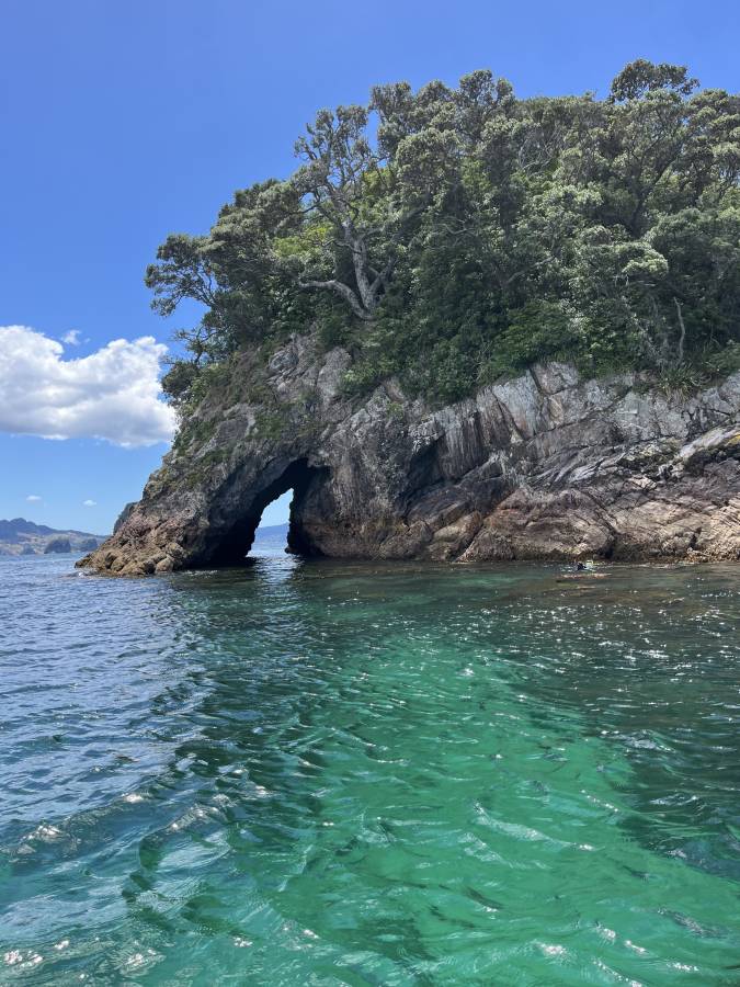 (2025/01/19)のレンタルについて、Kuremi T. による写真 3