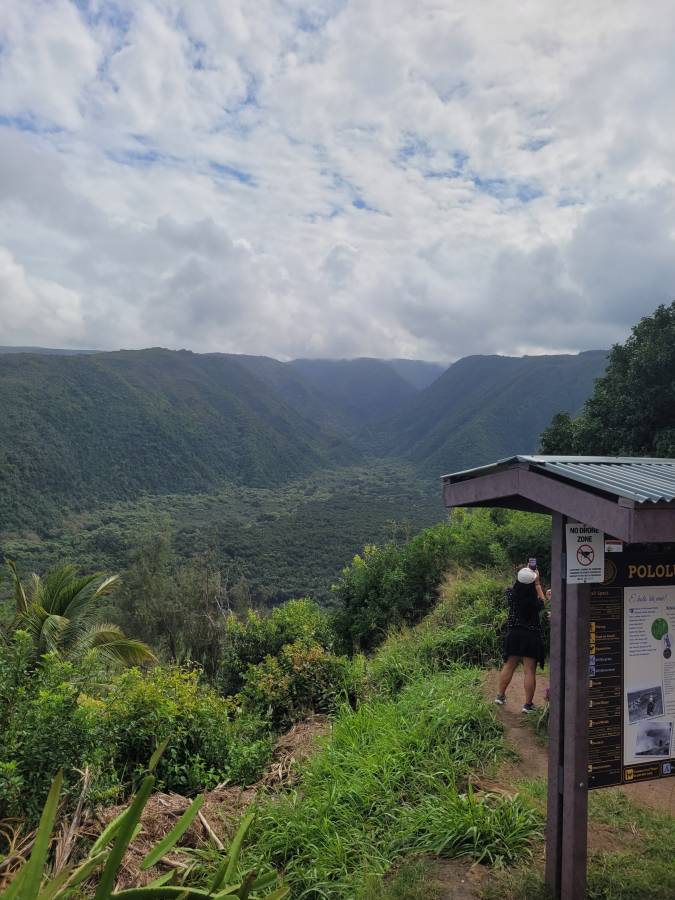 Photo 3 by Yvonne M. (2/27/26)