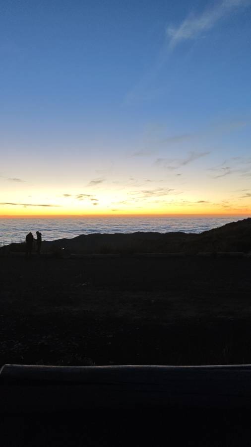 Фото от Konstantins P. (01.03.2026)