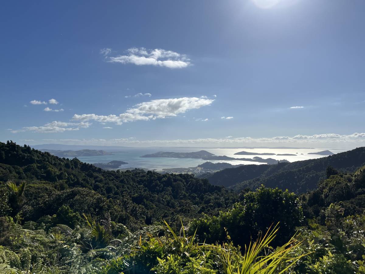 (2025/01/19)のレンタルについて、Kuremi T. による写真 4