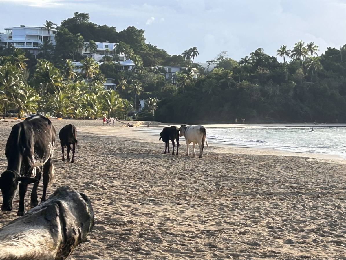 Foto 3 di Mirella M. (15/03/26)