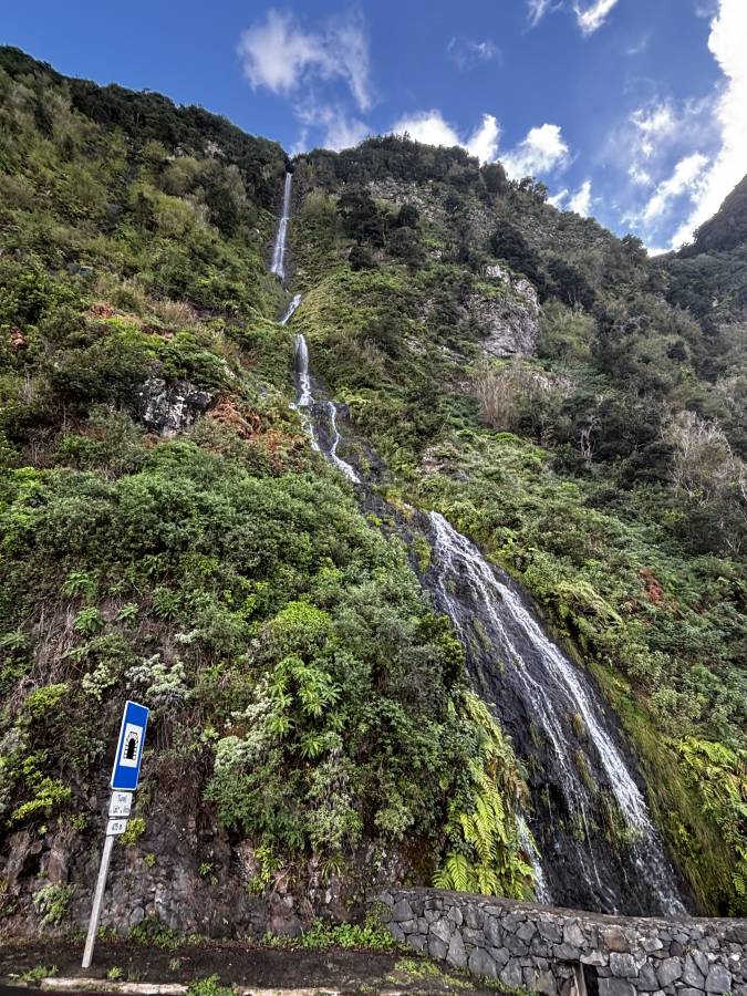 Photo 3 by Gyorgy M. (11/22/25)