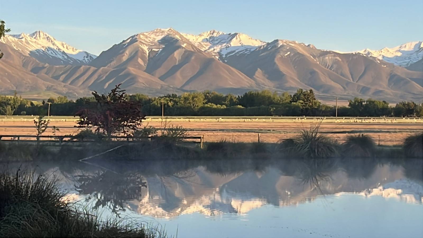 Photo 5 by james H. (11/20/25)