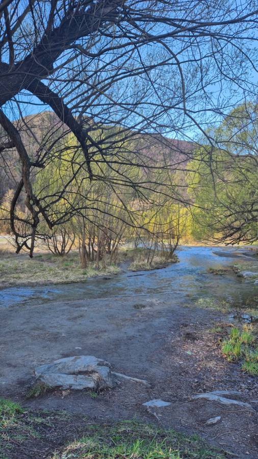 Photo 8 by Wee Long P. (10/7/25)