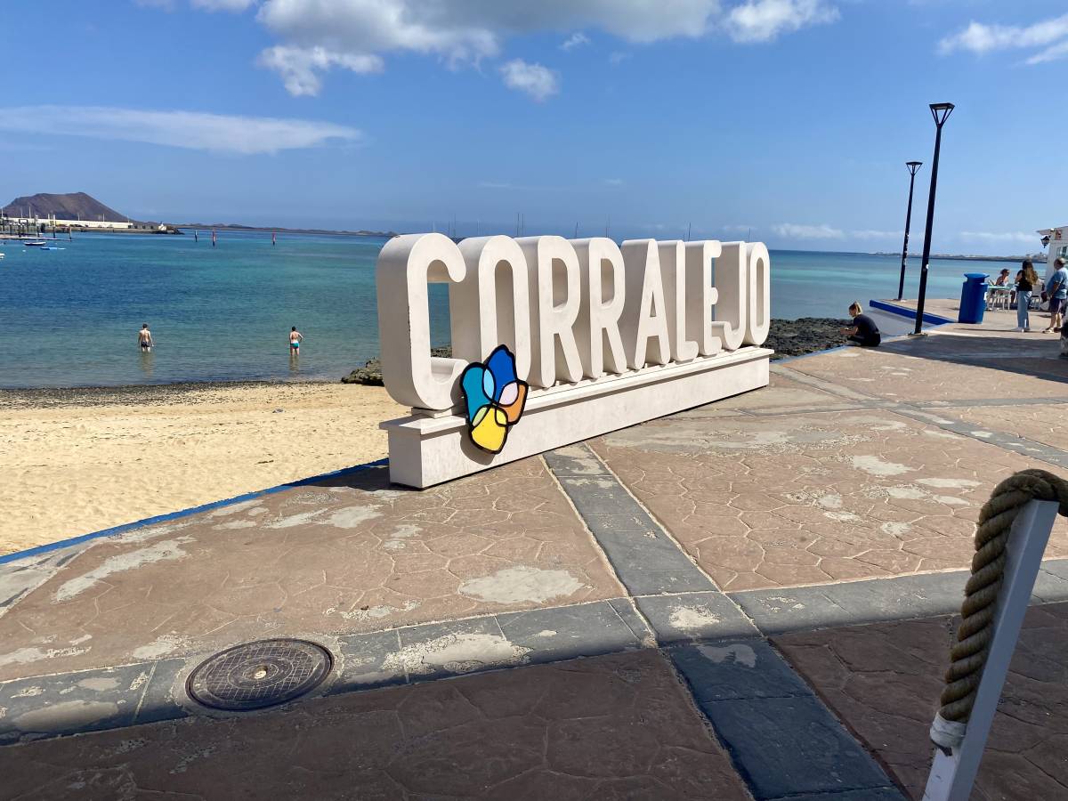 Photo 4 by STEPHEN V. (10/19/25)