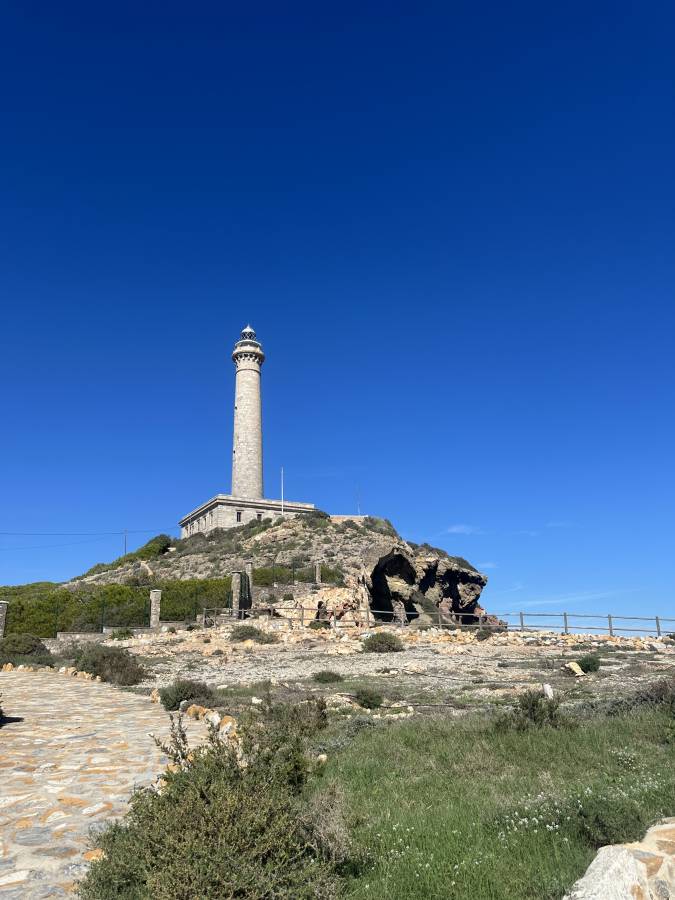 Photo 2 by Sharine C. (10/22/25)