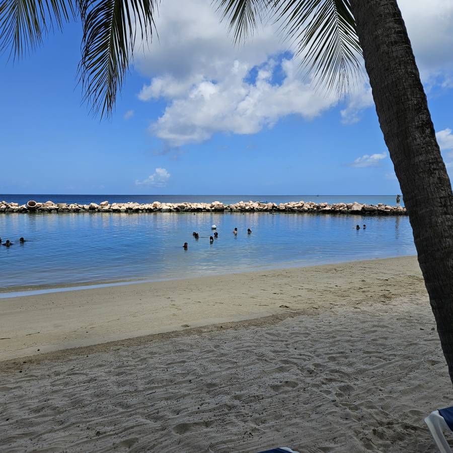 Photo 3 by James Everett A. about renting a Toyota Rush in Tobago (8/17/25)