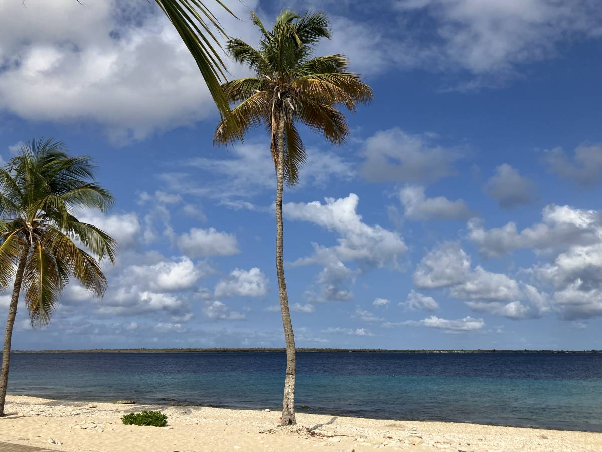 Foto 2 van Rolf C. (08-05-2024)