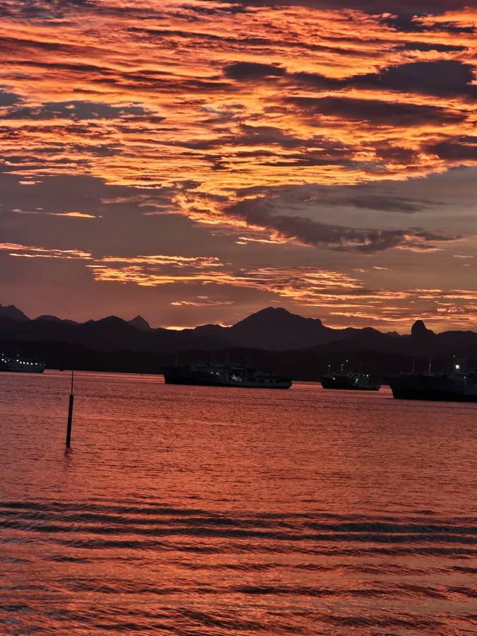 Photo 7 by aRICHARD L. (5/2/26)