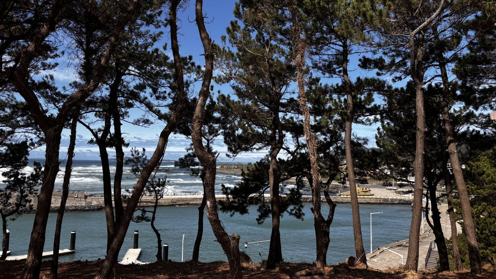 Photo 11 by Mohan S. (4/14/26)