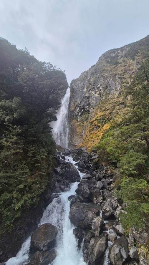 Photo 9 by Wee Long P. (10/7/25)