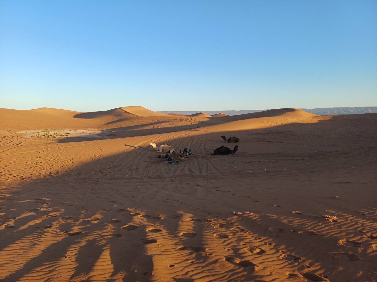 Photo 1 par Caroline D. (05/03/2026)