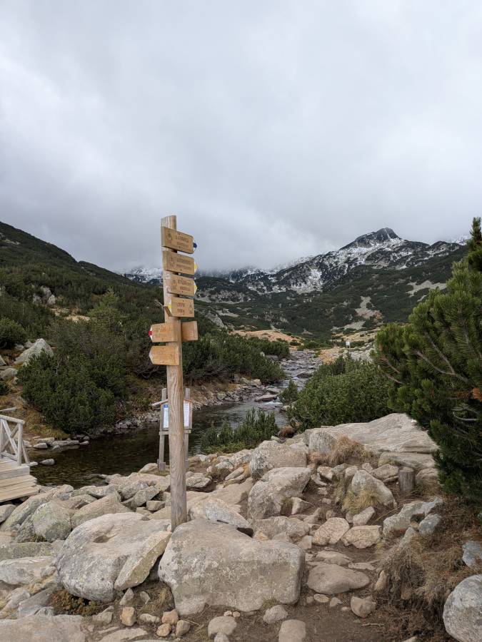 Photo 1 by Reinis P. (10/29/25)