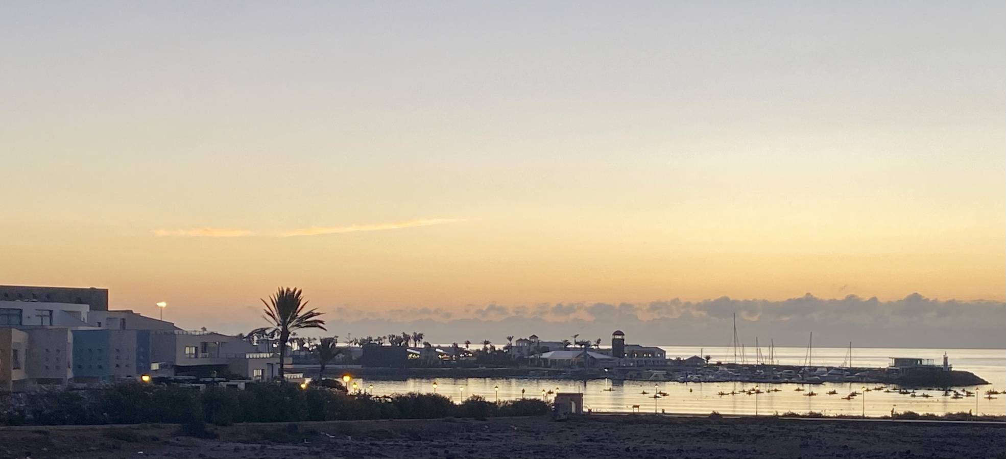 Photo 6 by STEPHEN V. (10/19/25)