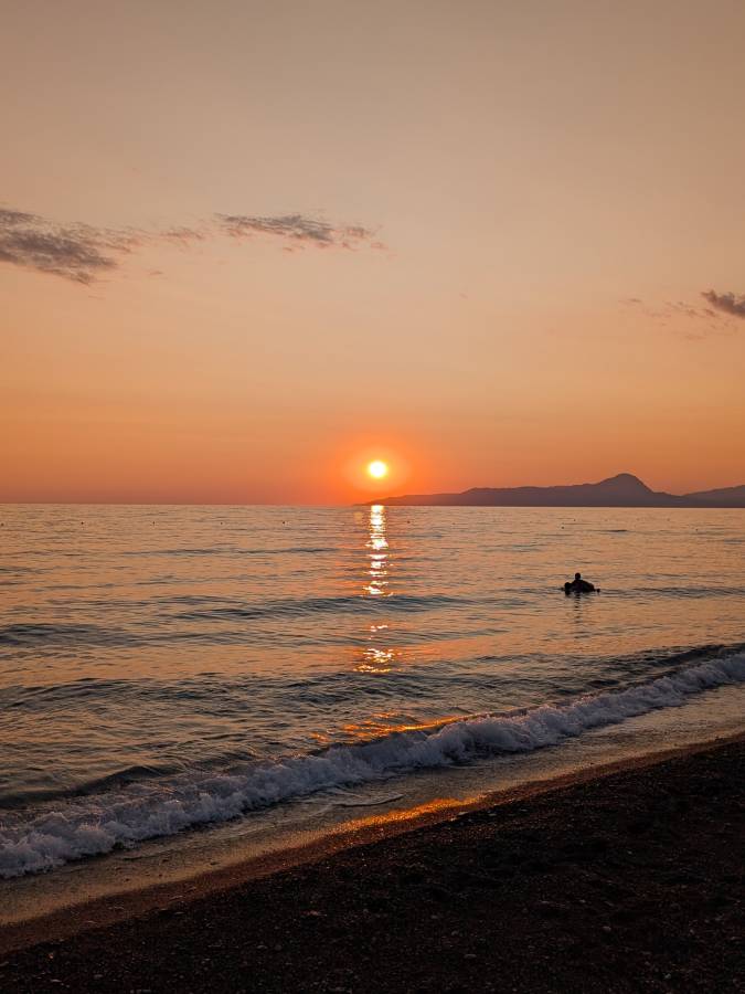 Photo by Luigi M. (8/11/25)