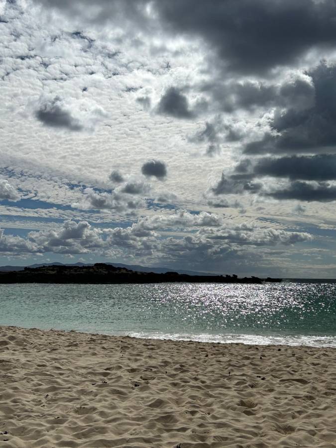 Photo 4 by Eugene R. (12/2/25)