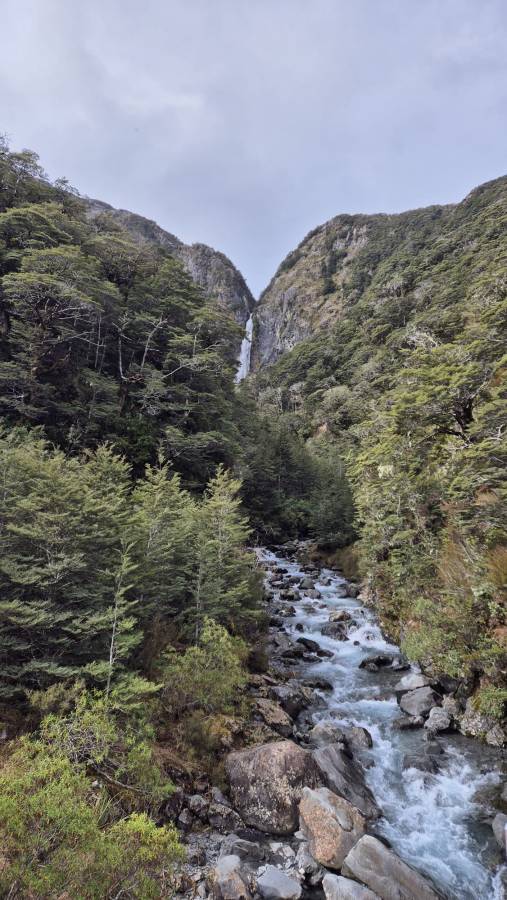 Photo 10 by Wee Long P. (10/7/25)