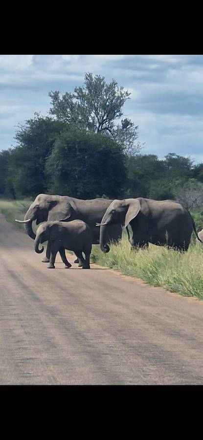 Photo 3 by Neil C. about hiring a Toyota Fortuner in Johannesburg (29/01/2024)