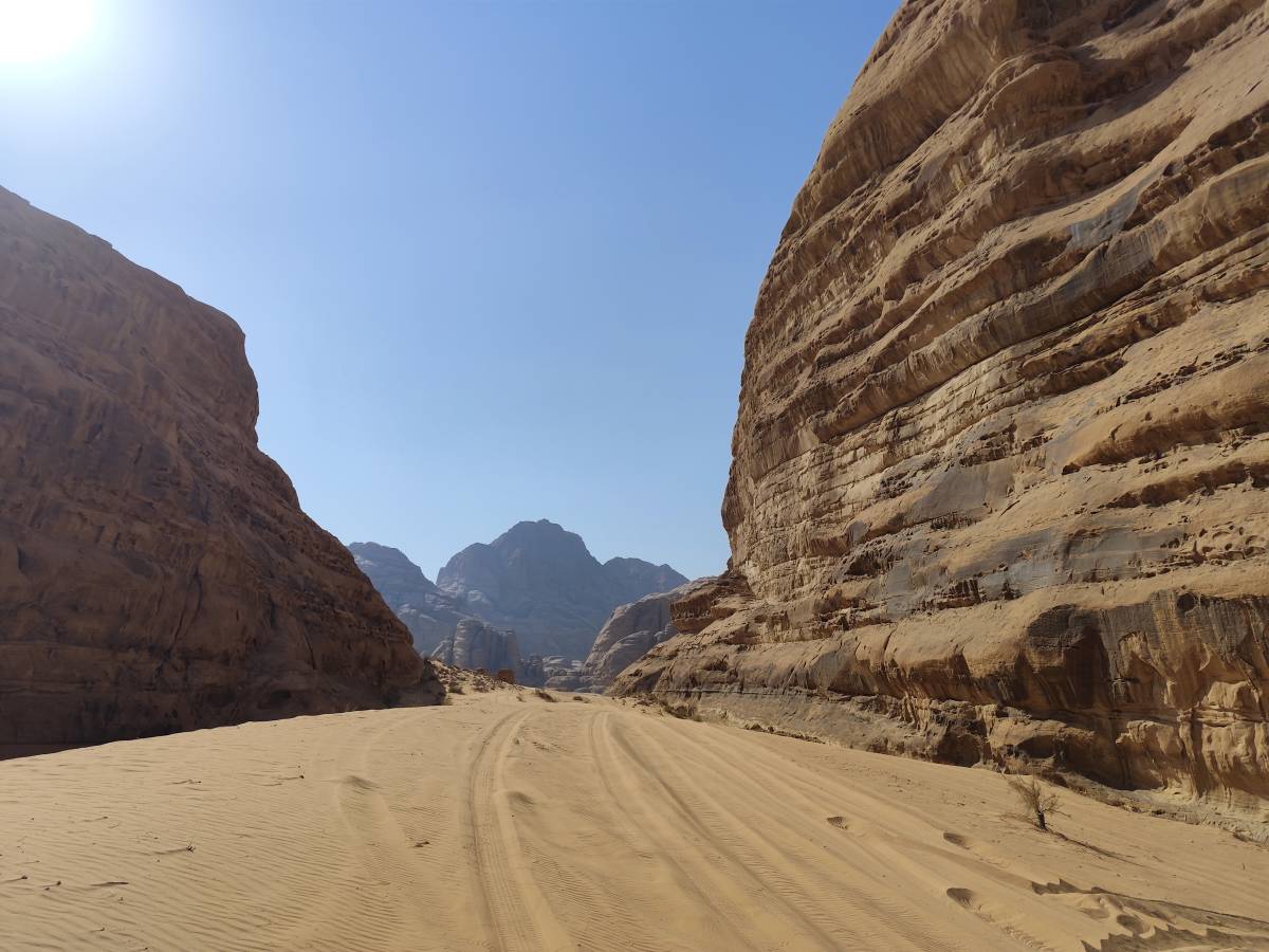 Foto 6 di marisa p. (24/11/25)