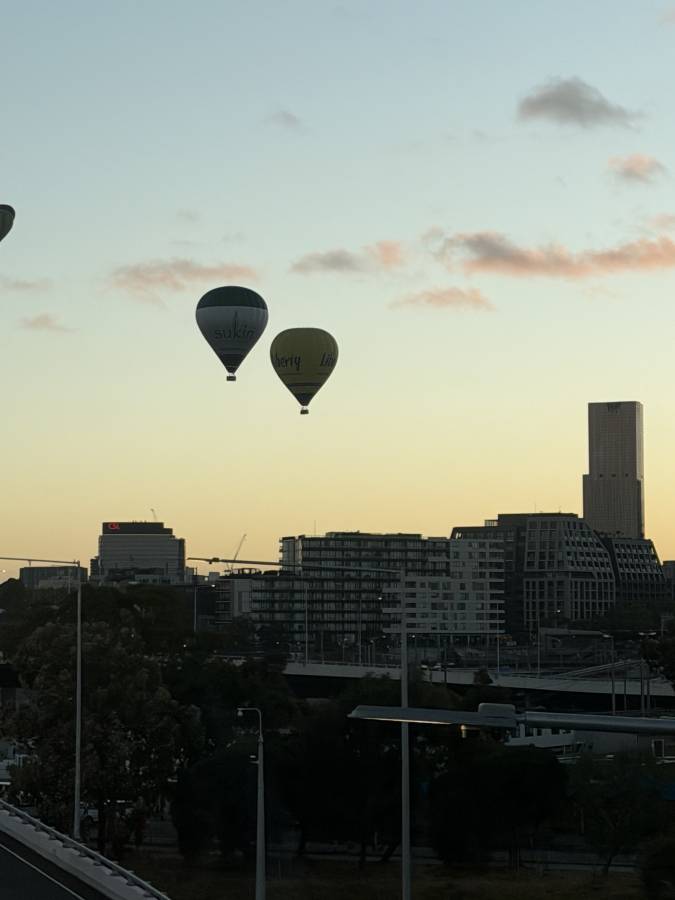 Photo 2 by SUSAN L. (2/25/26)