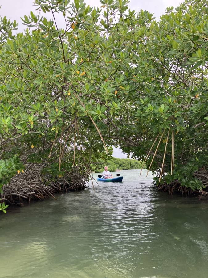 Foto 3 van Rolf C. (08-05-2024)