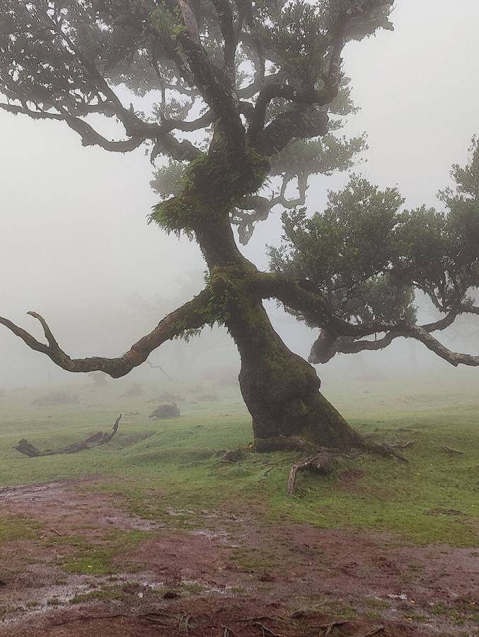 Photo 3 by Neil M. (10/6/25)