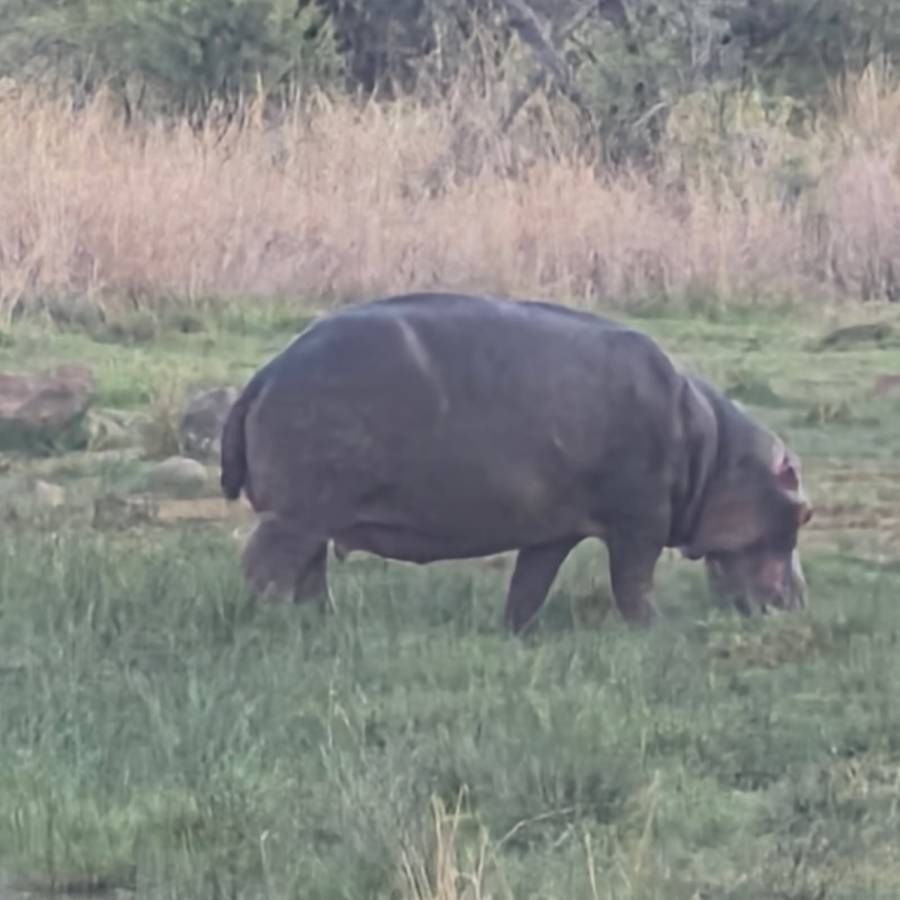 Photo 4 by Bryan J. (11/24/25)