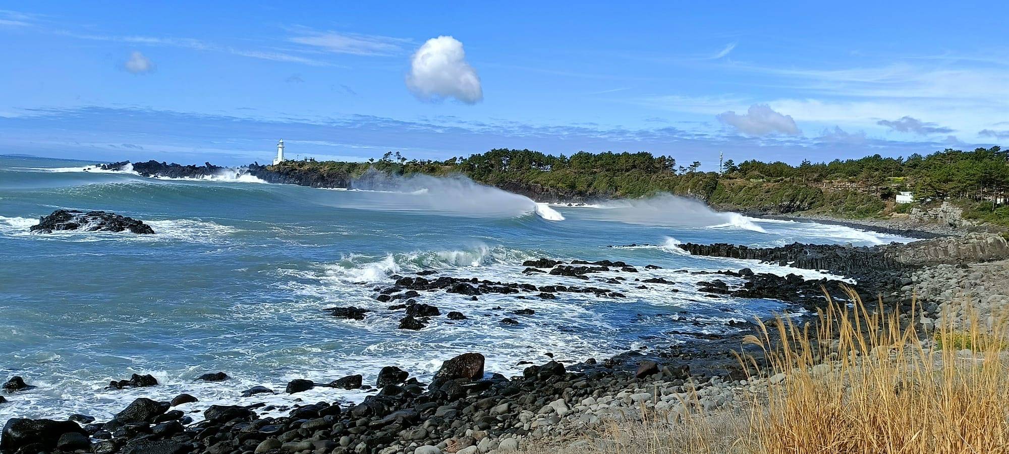 Photo 12 by Mohan S. (4/14/26)