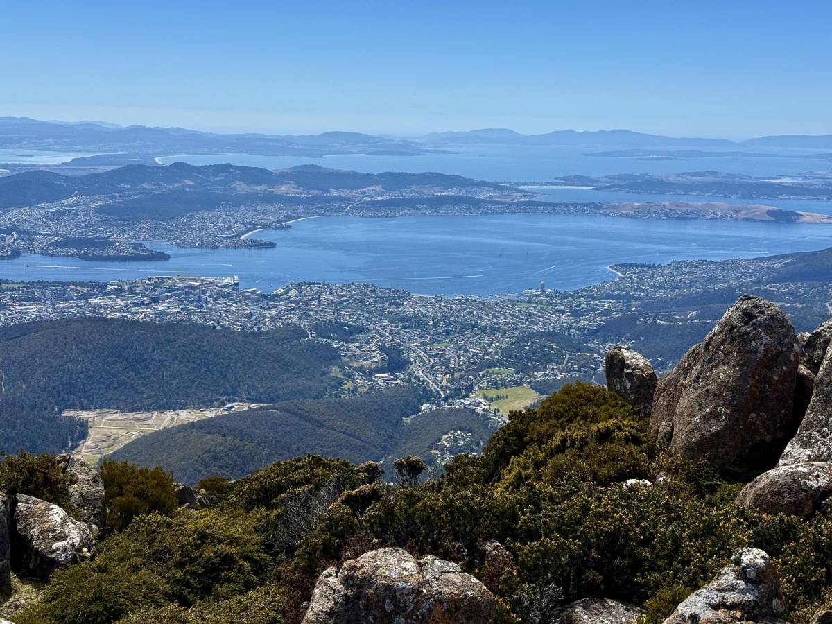 Photo 5 by George P. (12/29/25)