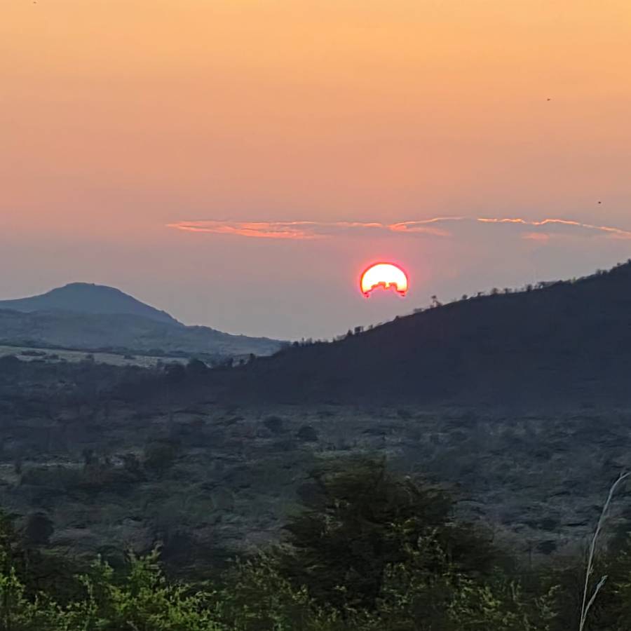 Photo 6 by Bryan J. (11/24/25)