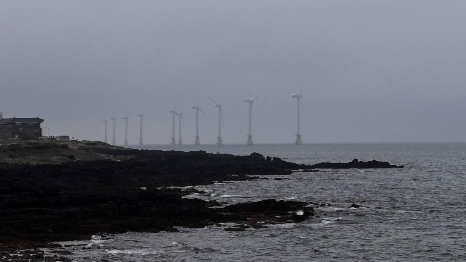 Photo 13 by Mohan S. (4/14/26)