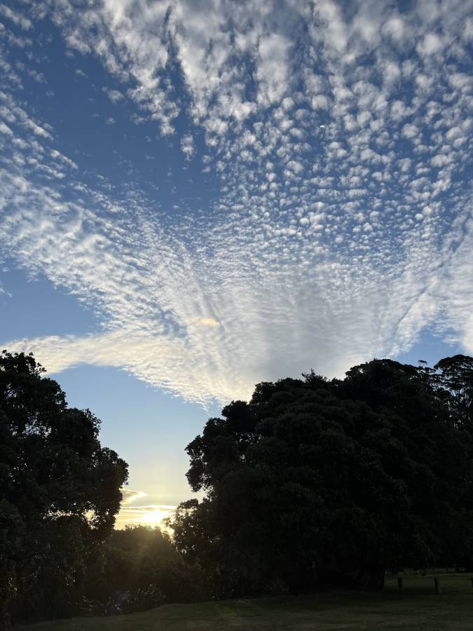 (2025/01/19)のレンタルについて、Kuremi T. による写真 5