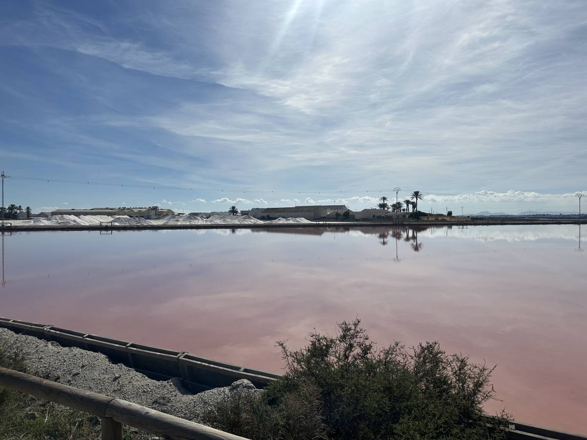 Photo 3 by Sharine C. (10/22/25)