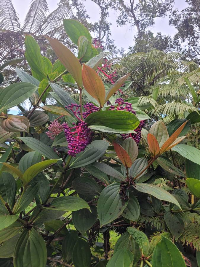 Photo 4 by Yvonne M. (2/27/26)