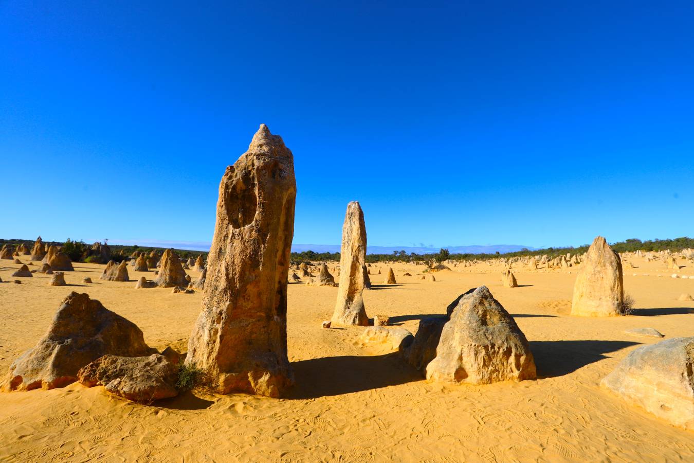 Photo 1 par Thierry C. (07/12/2025)