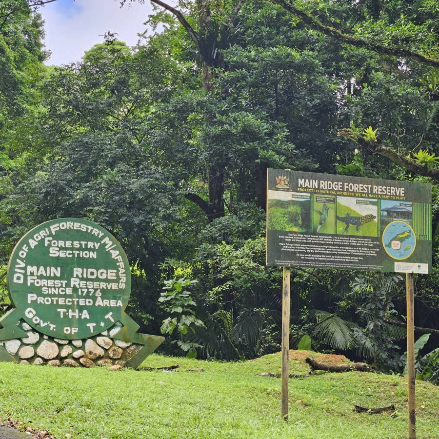 Photo 4 by James Everett A. about renting a Toyota Rush in Tobago (8/17/25)