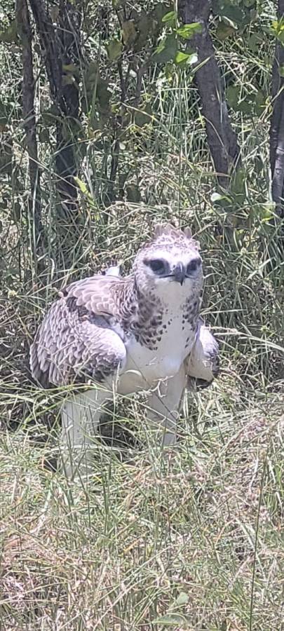 Photo 4 by Neil C. about hiring a Toyota Fortuner in Johannesburg (29/01/2024)