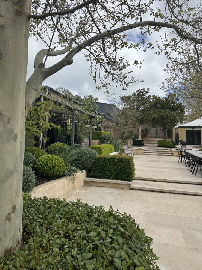 Photo 3 by Craig C. (10/7/25)