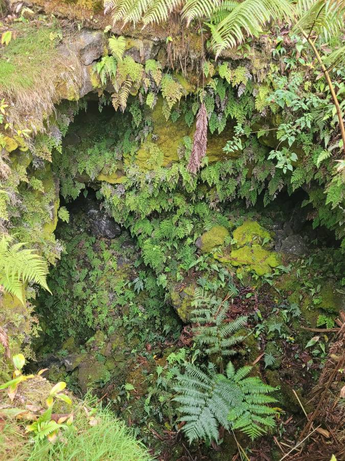 Photo 5 by Yvonne M. (2/27/26)