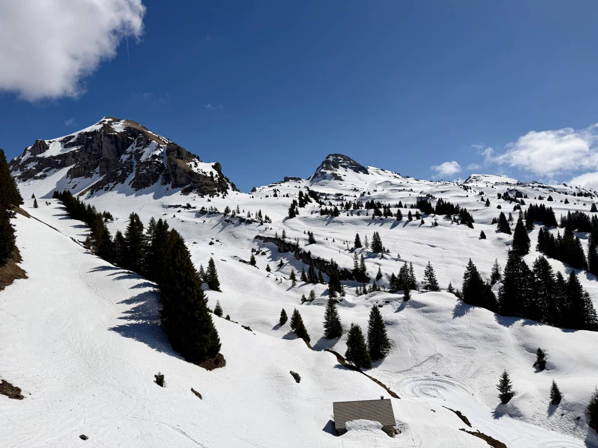 Photo 4 par Vincent B. (20/04/2026)