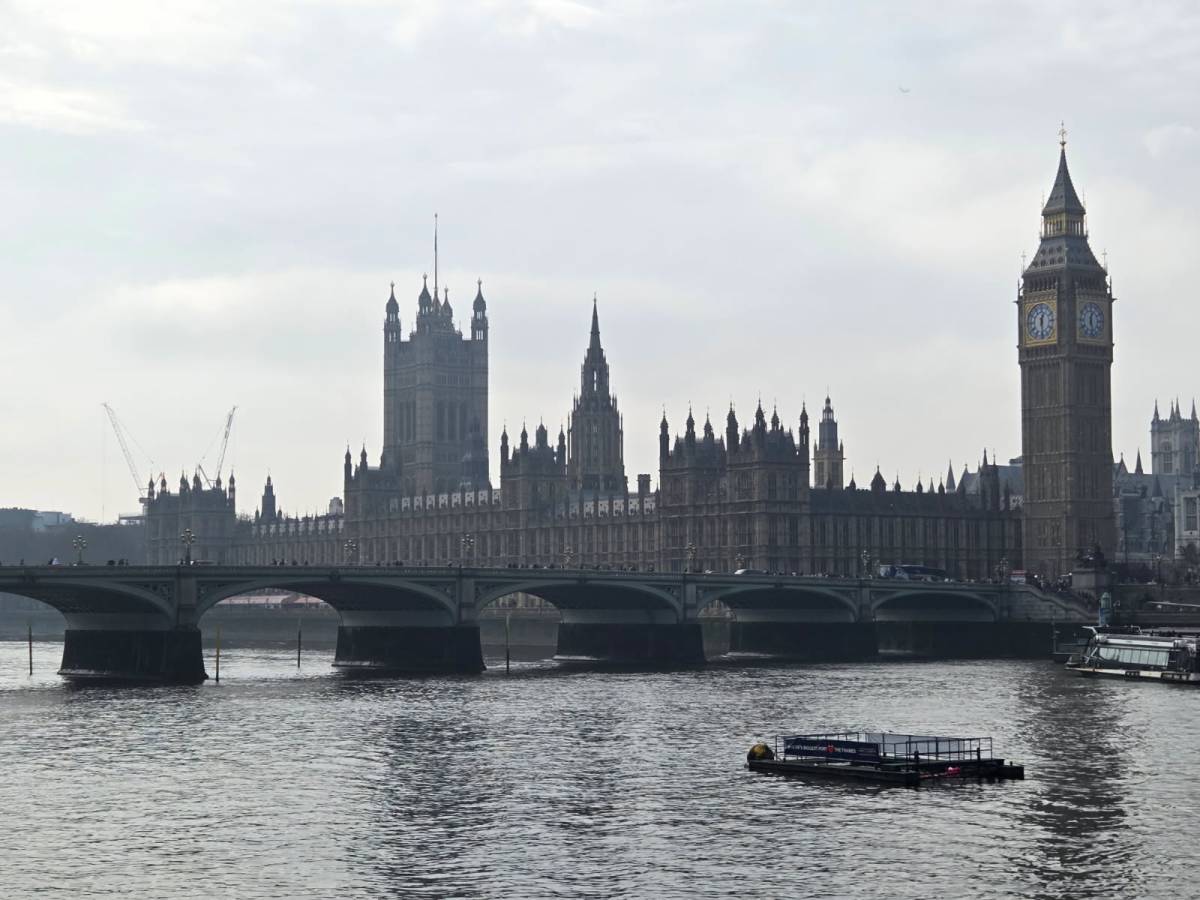 Photo 7 by Martin W. (3/25/26)