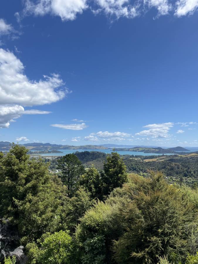 (2025/01/19)のレンタルについて、Kuremi T. による写真 7