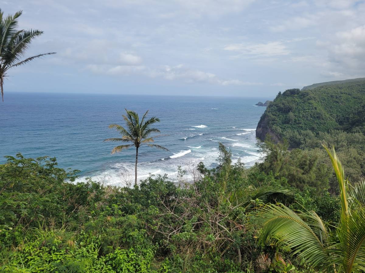 Photo 6 by Yvonne M. (2/27/26)