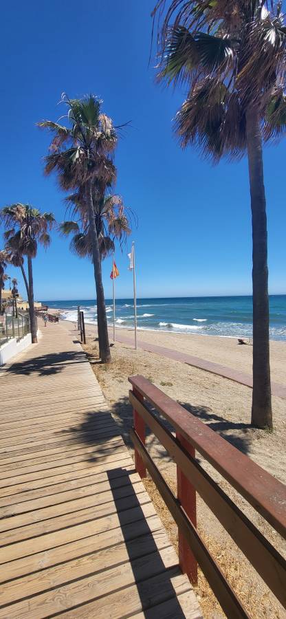 Zdjęcie 3 wykonane przez Rafal M. (20.06.2024)