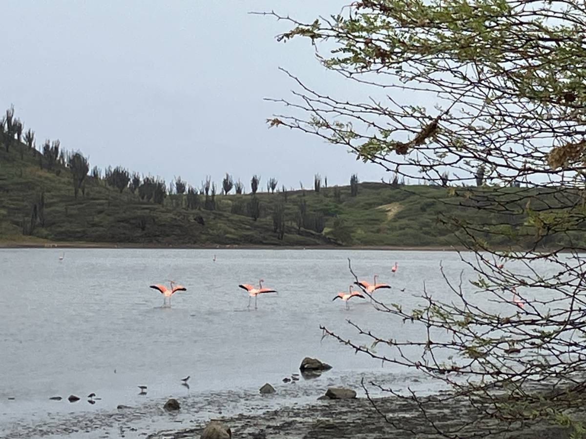 Foto 5 van Rolf C. (08-05-2024)