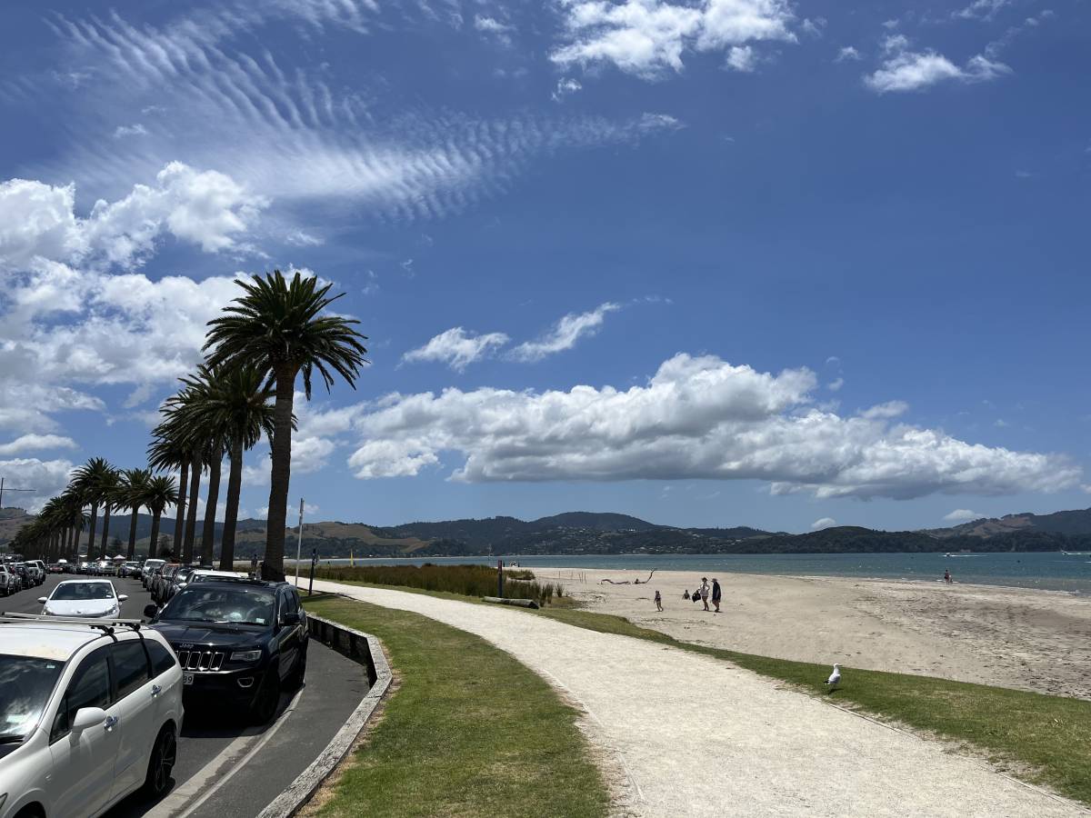 (2025/01/19)のレンタルについて、Kuremi T. による写真 8