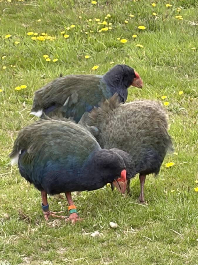 Photo 3 by S M N. (2/9/26)