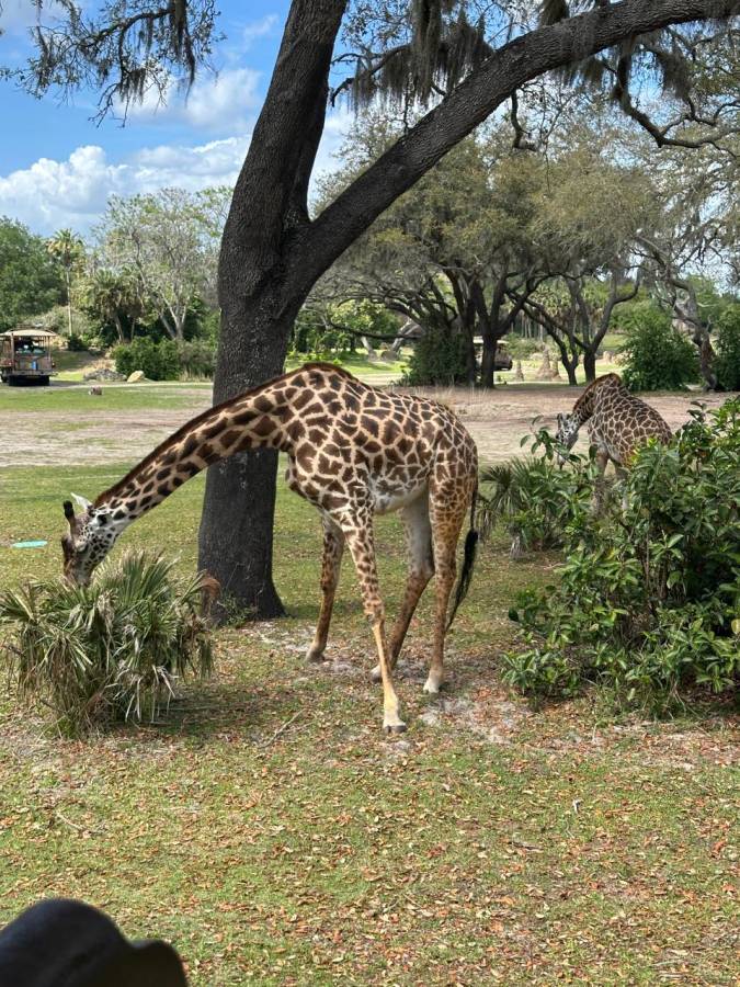 Foto 11 de Jhon Fredy Castano S. (7/4/2026)